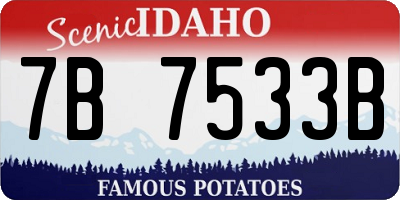 ID license plate 7B7533B