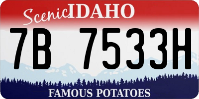 ID license plate 7B7533H