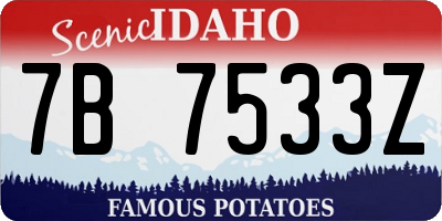 ID license plate 7B7533Z