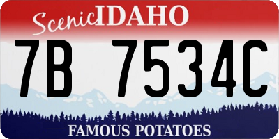 ID license plate 7B7534C