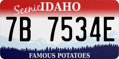 ID license plate 7B7534E