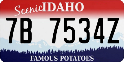 ID license plate 7B7534Z