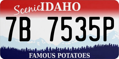 ID license plate 7B7535P