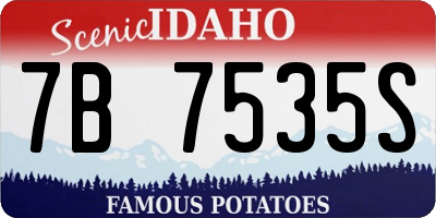 ID license plate 7B7535S