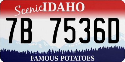 ID license plate 7B7536D