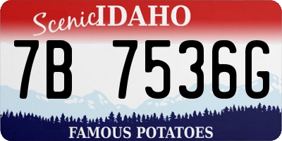 ID license plate 7B7536G