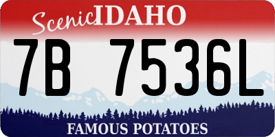 ID license plate 7B7536L