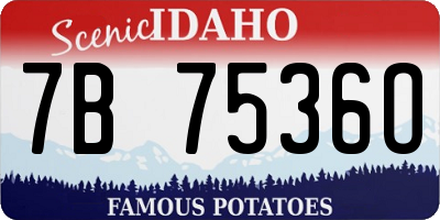 ID license plate 7B7536O