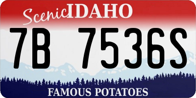 ID license plate 7B7536S