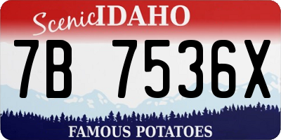 ID license plate 7B7536X