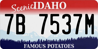 ID license plate 7B7537M
