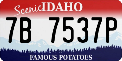 ID license plate 7B7537P