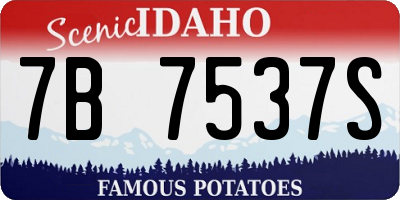 ID license plate 7B7537S