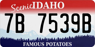 ID license plate 7B7539B