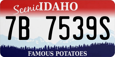 ID license plate 7B7539S