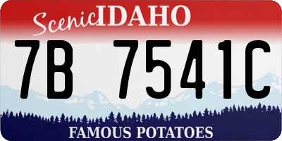 ID license plate 7B7541C