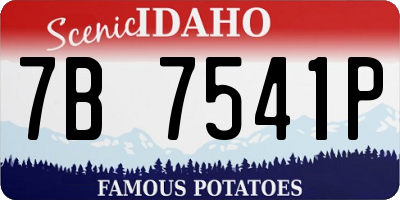 ID license plate 7B7541P