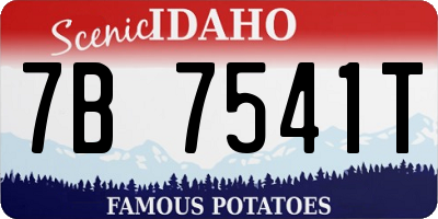 ID license plate 7B7541T