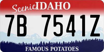 ID license plate 7B7541Z