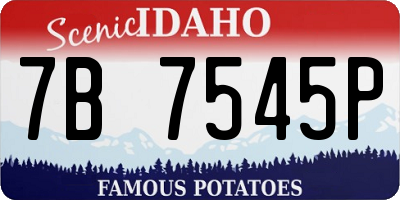 ID license plate 7B7545P