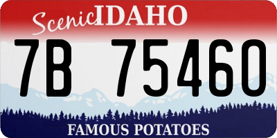 ID license plate 7B7546O