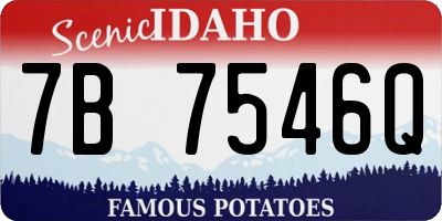 ID license plate 7B7546Q