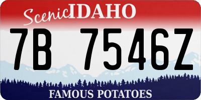 ID license plate 7B7546Z