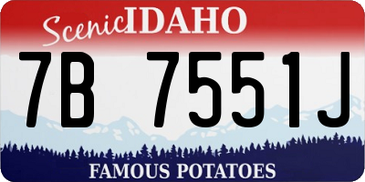 ID license plate 7B7551J