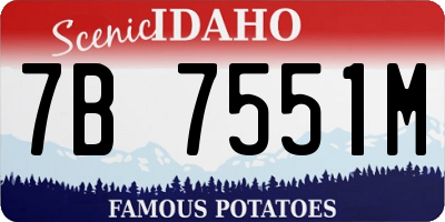 ID license plate 7B7551M