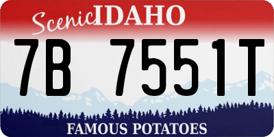 ID license plate 7B7551T