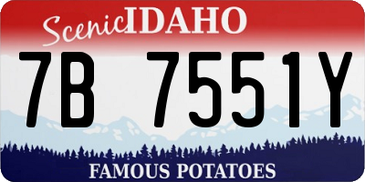 ID license plate 7B7551Y