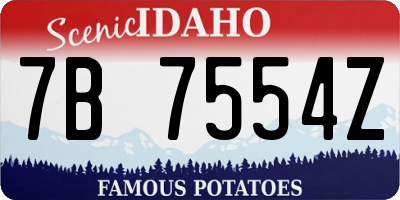 ID license plate 7B7554Z