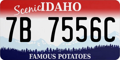 ID license plate 7B7556C