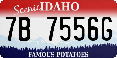 ID license plate 7B7556G