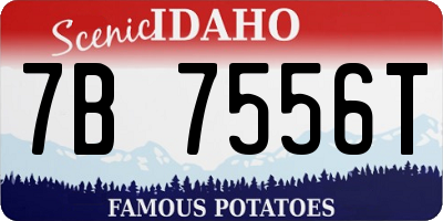 ID license plate 7B7556T