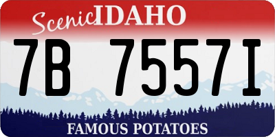 ID license plate 7B7557I