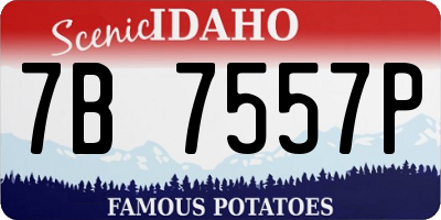ID license plate 7B7557P