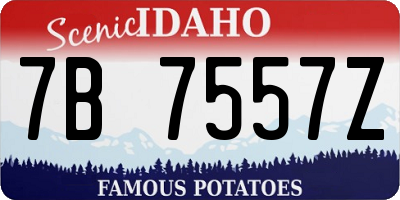ID license plate 7B7557Z