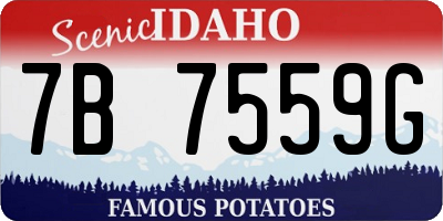 ID license plate 7B7559G