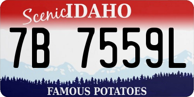 ID license plate 7B7559L