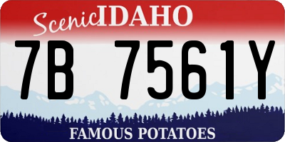 ID license plate 7B7561Y