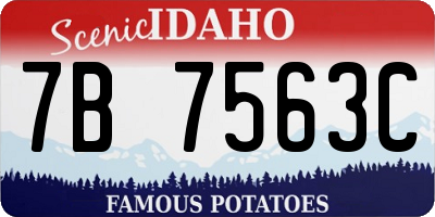 ID license plate 7B7563C