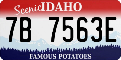 ID license plate 7B7563E