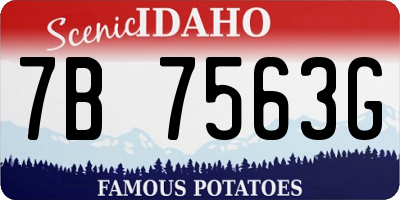 ID license plate 7B7563G