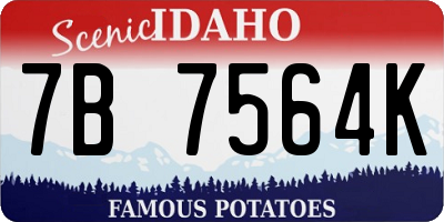 ID license plate 7B7564K