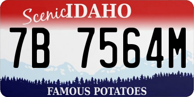 ID license plate 7B7564M