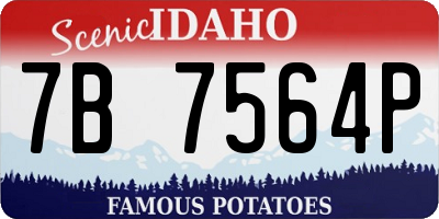 ID license plate 7B7564P