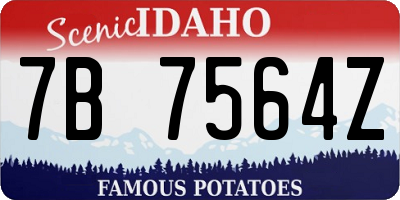 ID license plate 7B7564Z