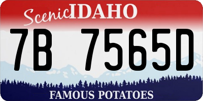 ID license plate 7B7565D