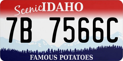 ID license plate 7B7566C